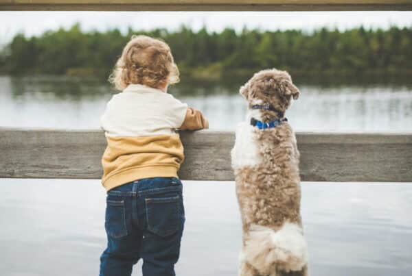 what is a bridge loan