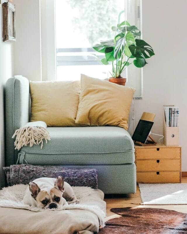 Unlocking Your Home’s Equity: A Path to Cash Buying Your Next Property