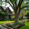 homes with trees frontyard